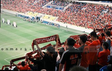 深度资料精粹