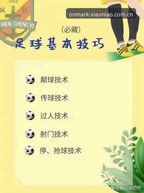 足球数据小鸟综合体育教程：从数据碎片到赛况全貌